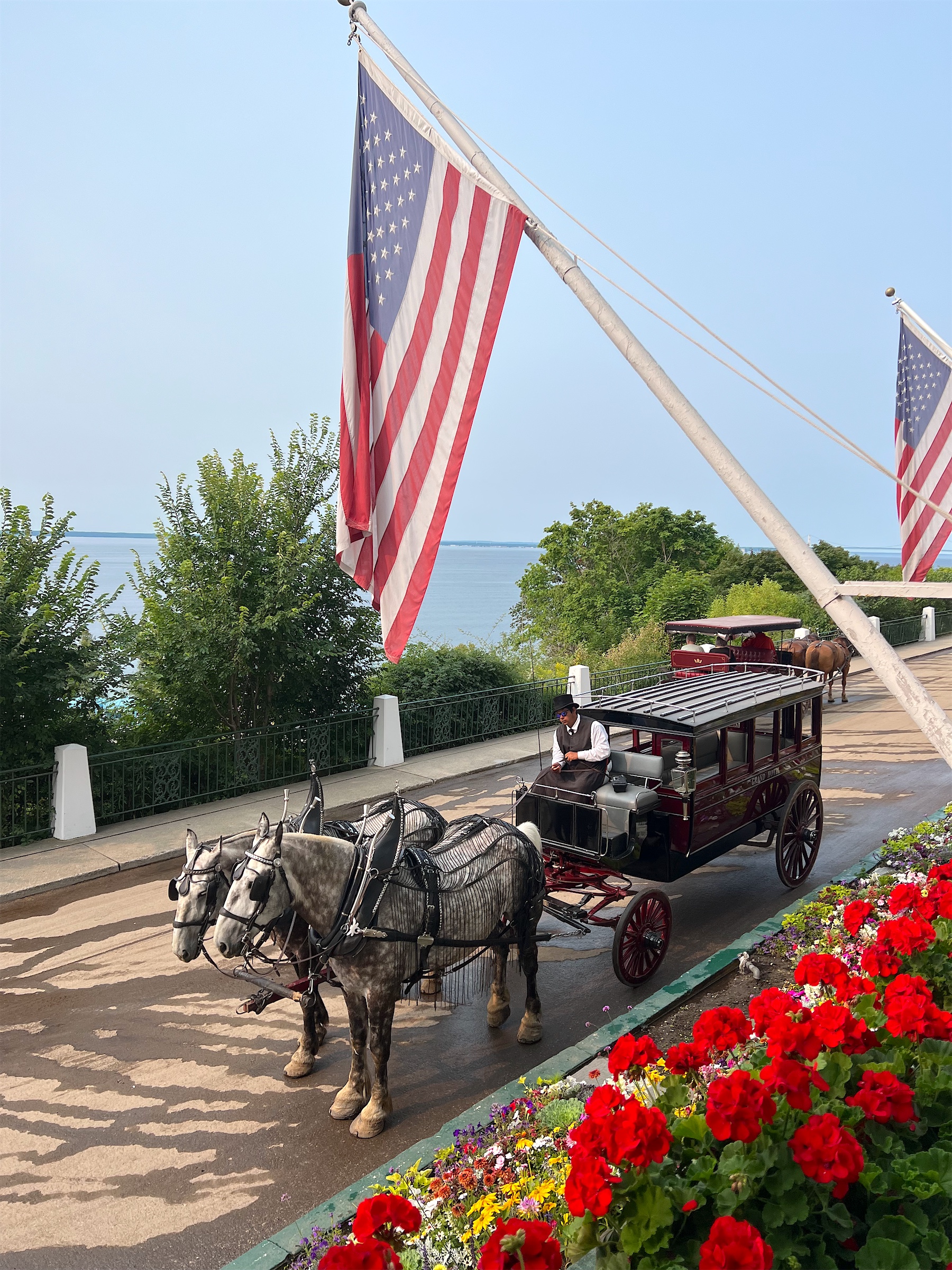 A horse-drawn carriage passing red flowers on Mackinac Island